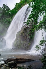 Obraz premium waterfall in the forest