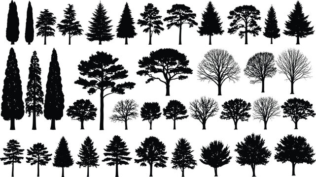 Set of forest tree silhouettes pine spruce and deciduous trees cad drawing flat vector illustration for architectural landscape environment design