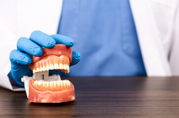 Healthcare professional holding an anatomical model, osseointegrated implants, smile design, minimally invasive dentistry, prophylactic care, clinical management, public health