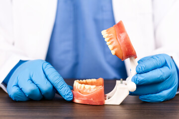 Clinical dentist examining dental replicas, veneer planning, orofacial aesthetics, comprehensive oral health, tartar prevention, brushing technique, and diagnostic instruments