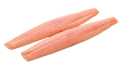 Two raw salmon fillets isolated PNG on transparent background, fresh uncooked fish for healthy eating and gourmet food preparation