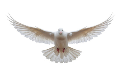 Obraz premium Dove with outstretched wings PNG isolated on transparent background, symbol of peace and freedom for graphic design and religious projects