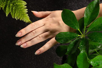 Female hands doing a manicure with a glass nail file on natural long nails without coating, not painted. Natural black dark background with indoor fern plants and shefflera flowers