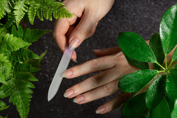 Female hands doing a manicure with a glass nail file on natural long nails without coating, not painted. Natural black dark background with indoor fern plants and shefflera flowers