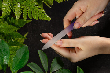 Female hands doing a manicure with a glass nail file on natural long nails without coating, not painted. Natural black dark background with indoor fern plants and shefflera flowers