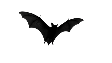 Black bat flying isolated PNG on transparent background, Halloween spooky creature for graphic design and decoration