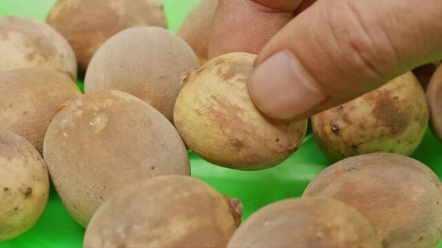 Human fingers picking some fresh langsat fruits on a green tray from a close up view