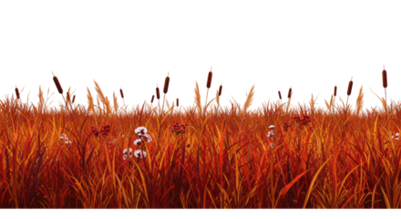 stylized digital illustration of vibrant autumn grasses and cranberry reeds in the lower third, offering crisp white copy space in the upper two-thirds, concept for commercial fall design template