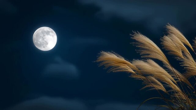 満月とすすきが揺れる秋の静かな夜景風景