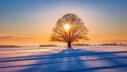 a solitary tree stands majestically in a snow covered landscape under a vibrant sunrise sky casting long shadows on the pristine white ground