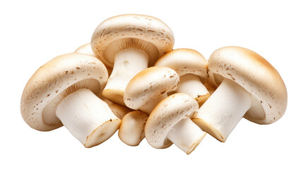 Fresh Mushrooms on Transparent Background