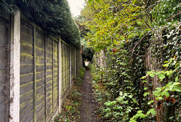 A narrow path slips between a weathered wooden fence and a tangle of lush greenery. Overgrown plants press close as the walkway drifts into a shaded pocket near Constable Road, Ilkley, UK.