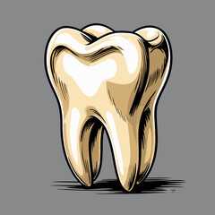 vector image of a human tooth