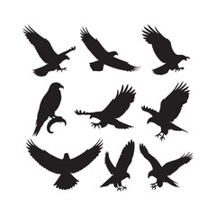 Obraz premium Eagles and Hawks Silhouettes Collection