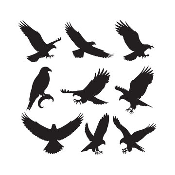 Eagles and Hawks Silhouettes Collection