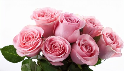 Bunch Of Rosy Roses Isolated On White