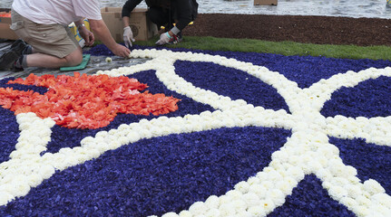 Brussels Flower Carpet, held in the Grand-Place.showing a person arranging flower petals on the ground to form a large symmetrical floral carpet.