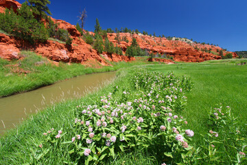Belle Fourche River in Wyoming