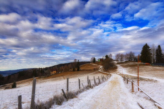 Snowy Beskid Mountain Path on a Cloudy Winter Day, natural background or nature wallpaper, Hala Boracza, Poland	