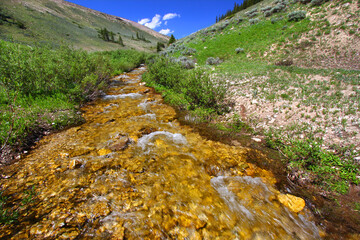 Mountain Stream Bighorn National Forest