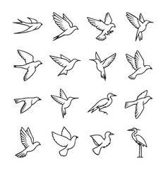Bird flying black line art