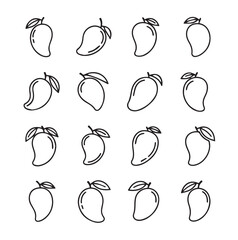 Mango Fruits black line art