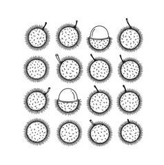 Rambutan Fruits black line art