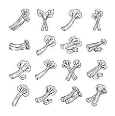 Rhubarb Vegetable black line art 