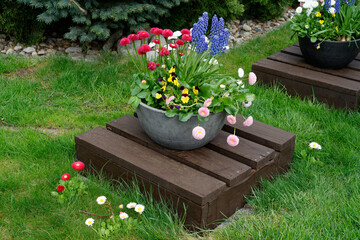 Wiosenne kwiaty w doniczkach © dariog1973