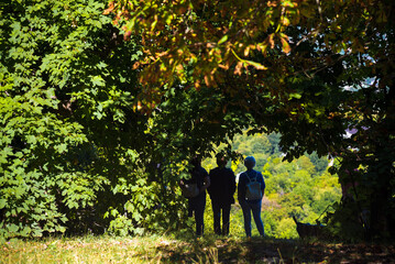 Silhouettes of three people in the woods