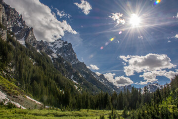 mountain landscape in summer