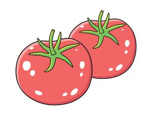 Two red tomatoes illustration isolated vector