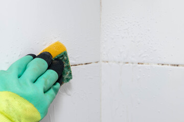 Black mold on bathroom tiles due to dampness. Clean mold using baking soda and a sponge.