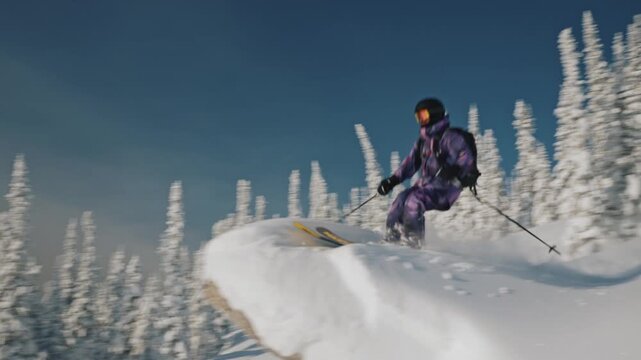 A skier accelerates down the mountain against the background of white fir trees. And he jumps beautifully from a snow-covered stone into the soft freshly fallen snow. High quality 4k footage