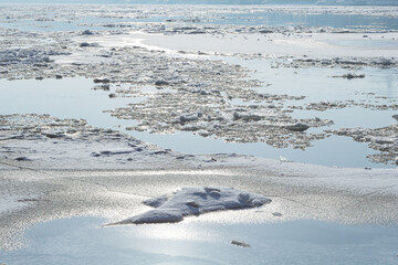 Melting ice floes on calm winter river surface