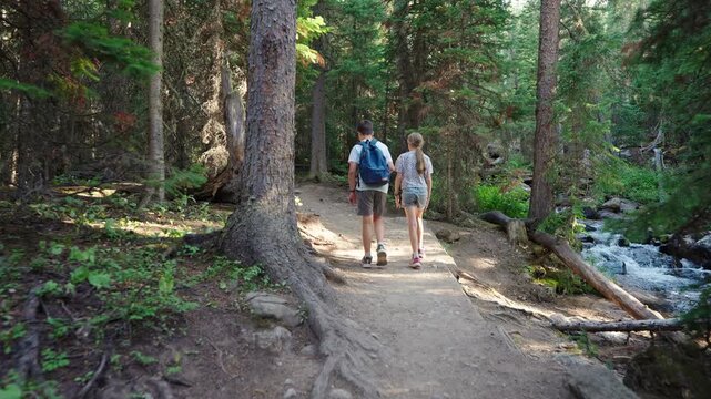 Stunning forest wilderness path family explore nature outdoors 
