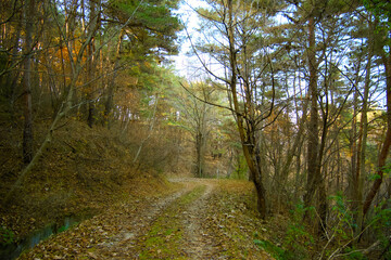 Fototapeta premium A beautiful walk in the autumn mountains