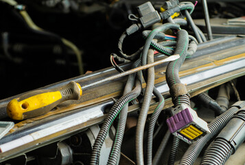 Fototapety na wymiar - Fototapeta24.pl