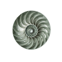 Obraz premium Abstract geometric spiral pattern of a nautilus shell's cross-section, showcasing natural symmetry and mathematical principles in nature's design