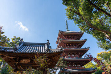 お寺の風景