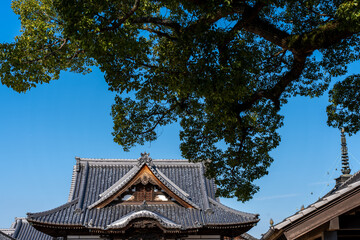お寺の風景