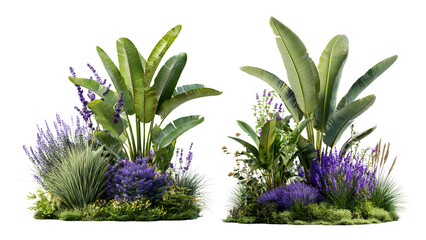 Fototapeta premium Tropical Garden Bushes with Banana Leaves and Purple Flowers – Lush Botanical Landscape PNG
