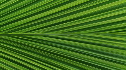 Obraz premium Radiant green palm leaf with vivid veins. Artificial intelligence image