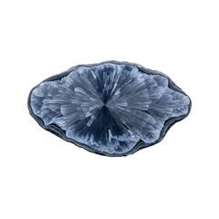 Abstract radial pattern resembling a starburst or crystal formation with intricate blue crystalline structures and delicate texture