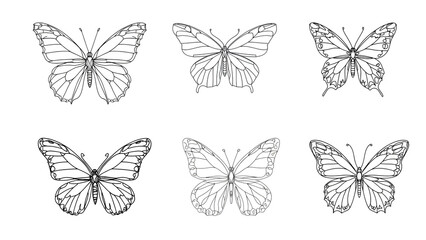 Fototapeta premium collection of butterflies, Butterfly Set in Black and White, Detailed Wings, Transparent Background