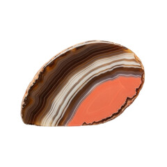 Striking Agate Slice with Warm Orange Hue and Layered Brown and White Bands