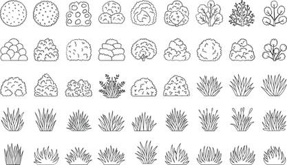 Variety of plants and grasses in black and white illustrations © Crazy Dreamy Boy