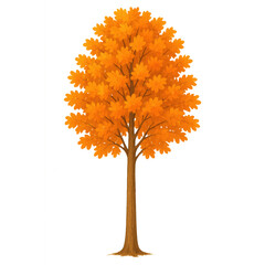 Autumn Tree in Splendor: A vibrant illustration of a tree showcasing its colorful autumnal foliage, perfect for adding warmth and seasonal charm to any design.