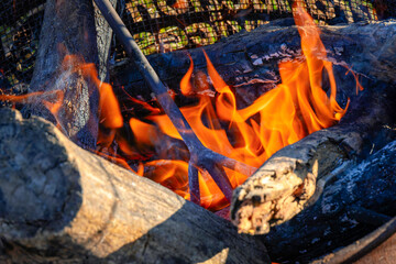 Branding iron in the fire