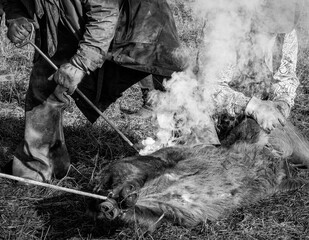 Cattle branding in the Kansas Flint Hills